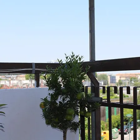 Venice H.s.garden Гостевой дом Маргера